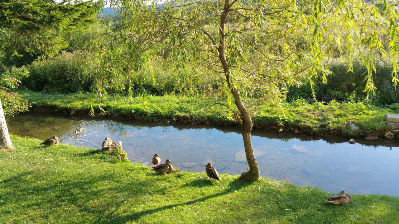 Rustic Inn River Prijeboj Exteriér fotografie